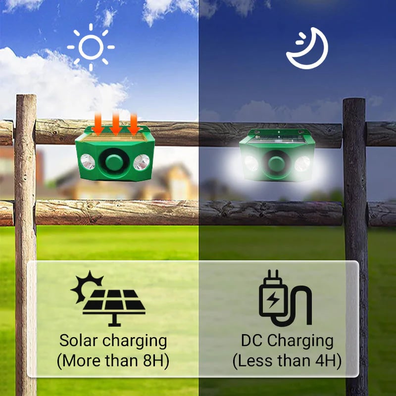 DUALGUARD – High Volume Solar Warning Lights to Deter Predators