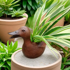 Duck Statue Flowerpot - QuackyPlanter
