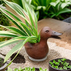 Duck Statue Flowerpot - QuackyPlanter