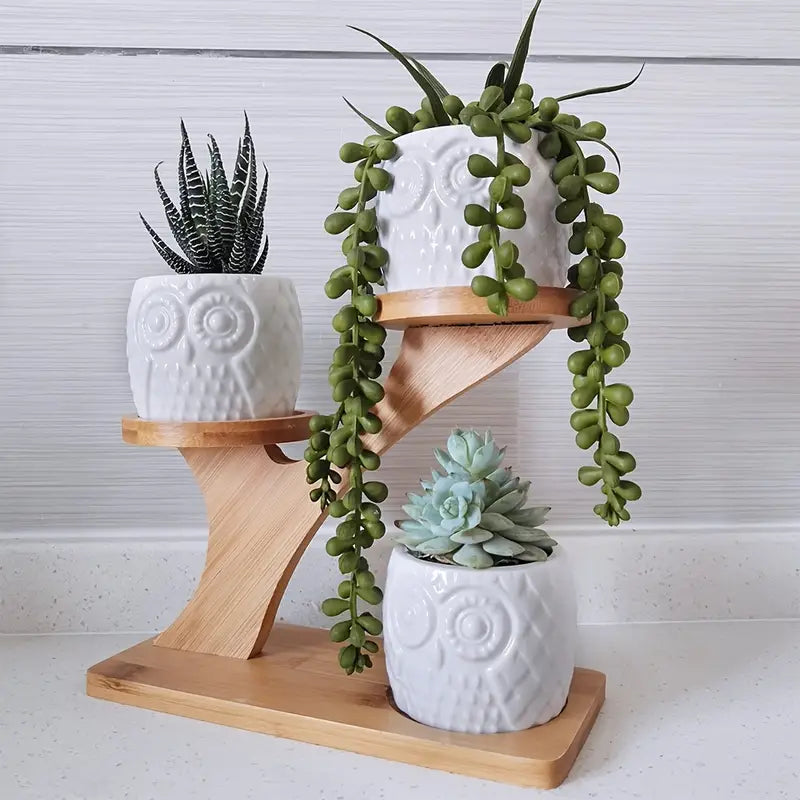 Decorative plant stand made of wood – plant pots in owl design for succulents and indoor plants