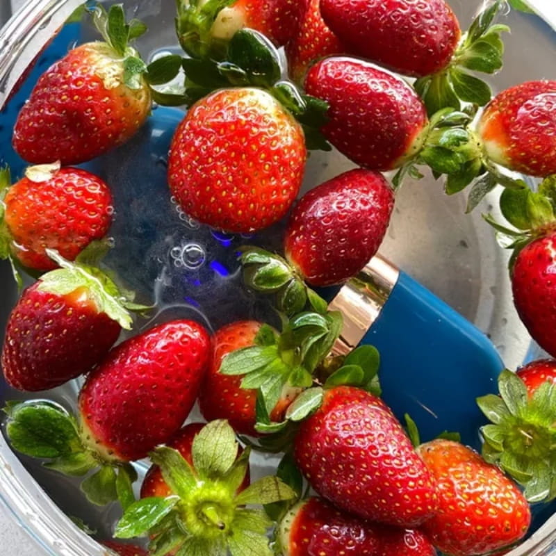 PureZest – Instantly removes 99% of bacteria and pesticides from food