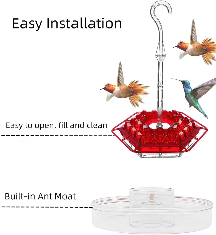 KolibriKracher — Create a vibrant bird paradise right in your garden!