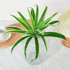 Artificial Grass Plant – Decorative Plant for Home and Office