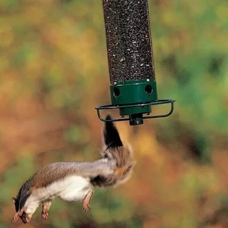 BirdHaven Squirrel-Proof Bird Feeder