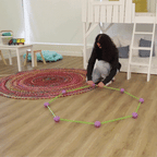 Magical Kids Fort – Imaginative Play Castle Tent for Indoor Adventures