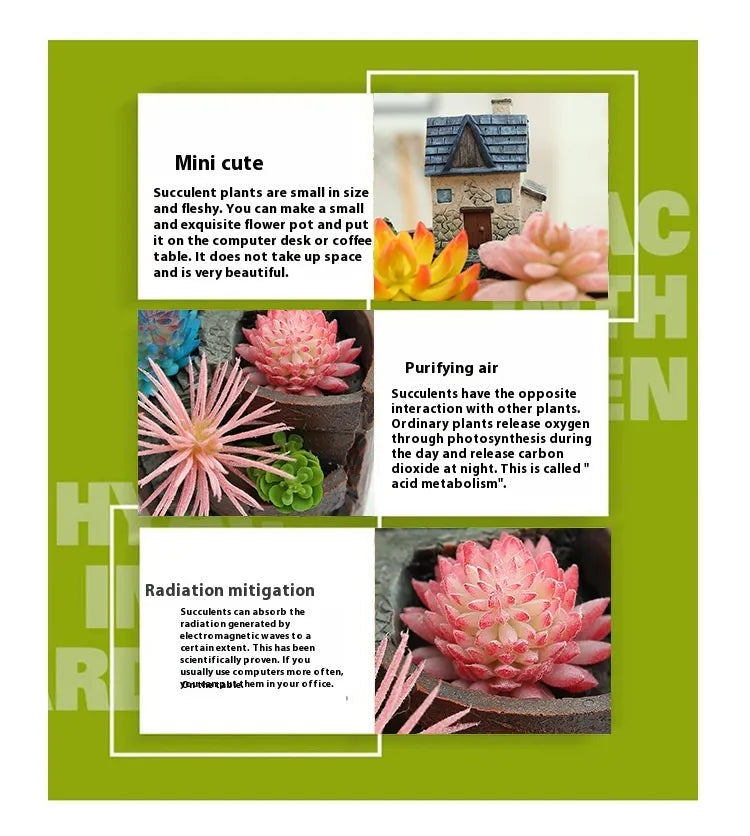Succulent decorative flower pot for mini garden – Bonsai planting pot for micro landscape and garden