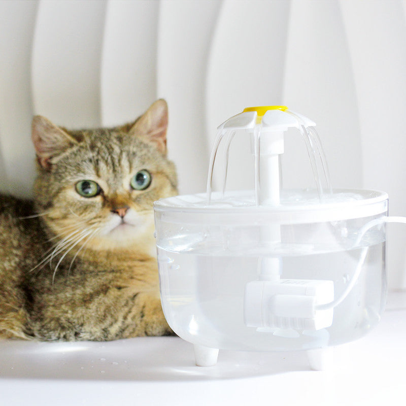 Modern filtration system takes care of your cat's health!