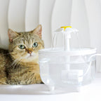 Modern filtration system takes care of your cat's health!
