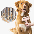 FurComb – Easy, pain-free grooming for your pet's shiny coat