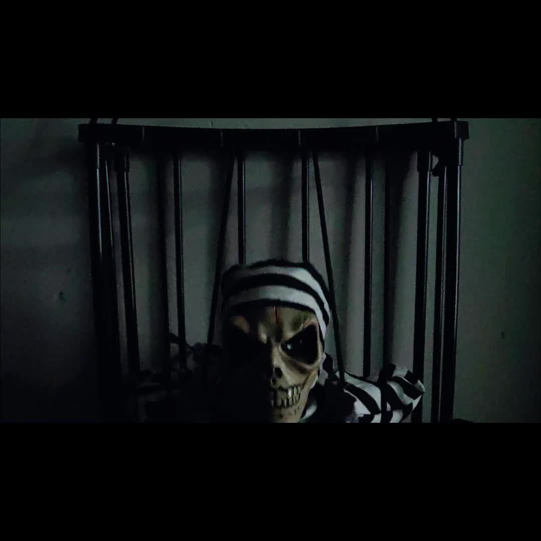 TerrorBone Animated Screaming Skeleton – Hanging Halloween Prop with Motion Sensor