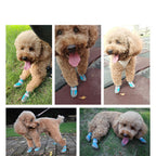 Durable Outdoor Dog Shoes with Mesh - All-Terrain Paw Protection