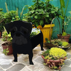 PawPlanter Green Pet Oasis