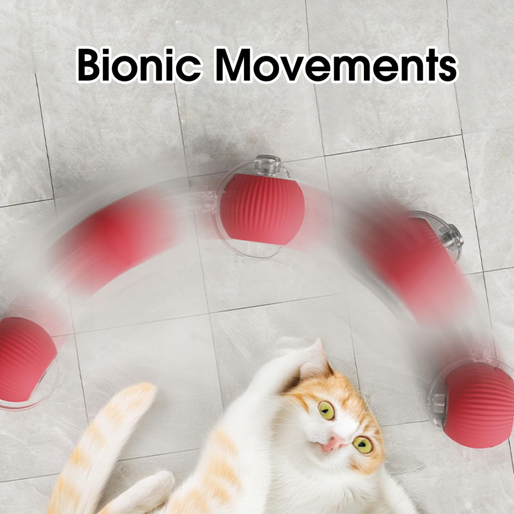 GameChanger fun machine — Unleash endless animal joy and banish all boredom!