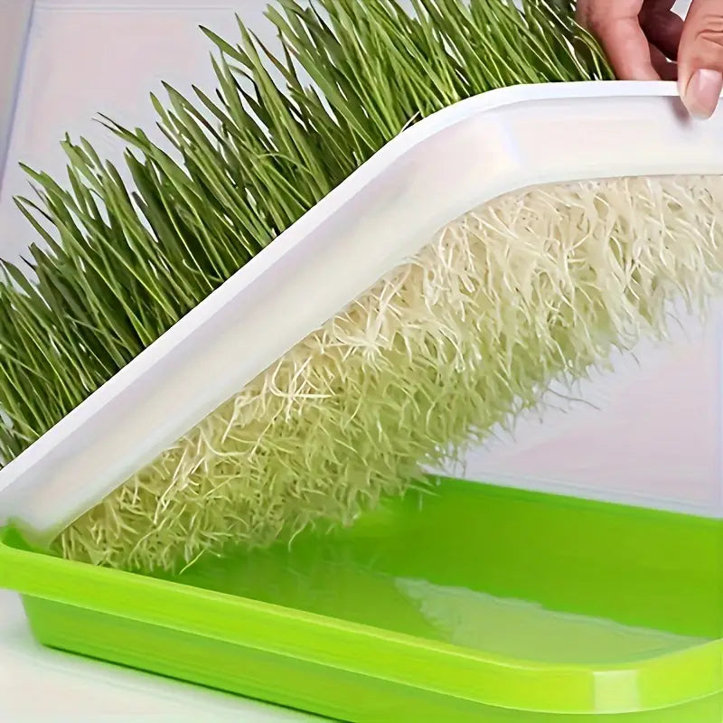 Germination trays with lid – Double-layer seed sowing tray for effective seed germination