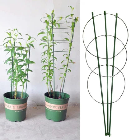 Climbing frame for plants – Sturdy support ring frame for climbing plants