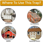 RamonaSnap — Finally stress-free and safely free your home from rats!