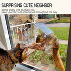 Bird feeder in the window for outdoor use