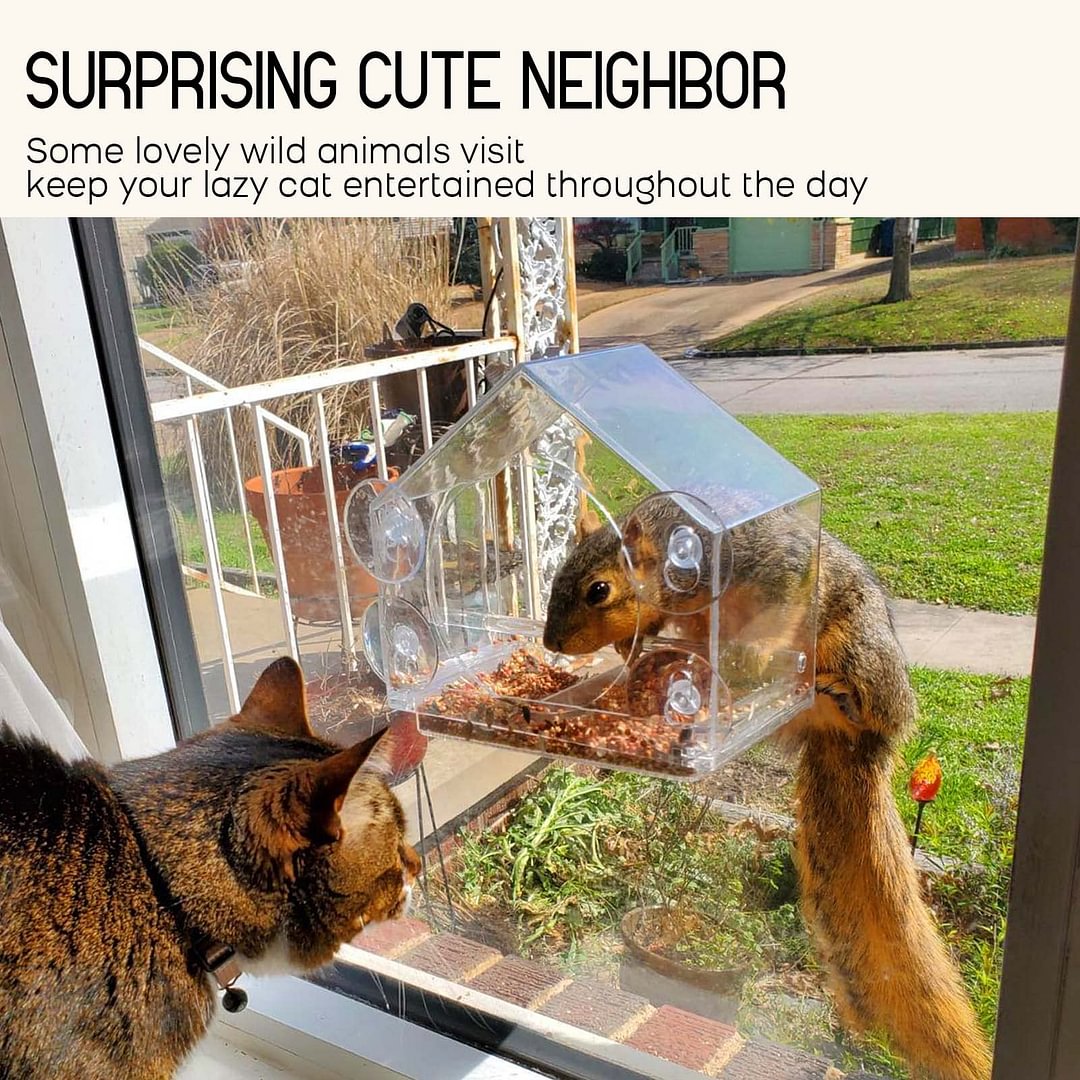 Bird feeder in the window for outdoor use