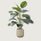 LeafVibe - Banana Tree Decoration