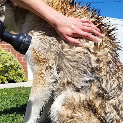Multi-mode Dog Bath Foaming Water Gun