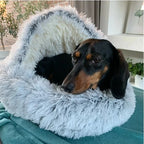 ComfyPaws Dreamy Pet Retreat
