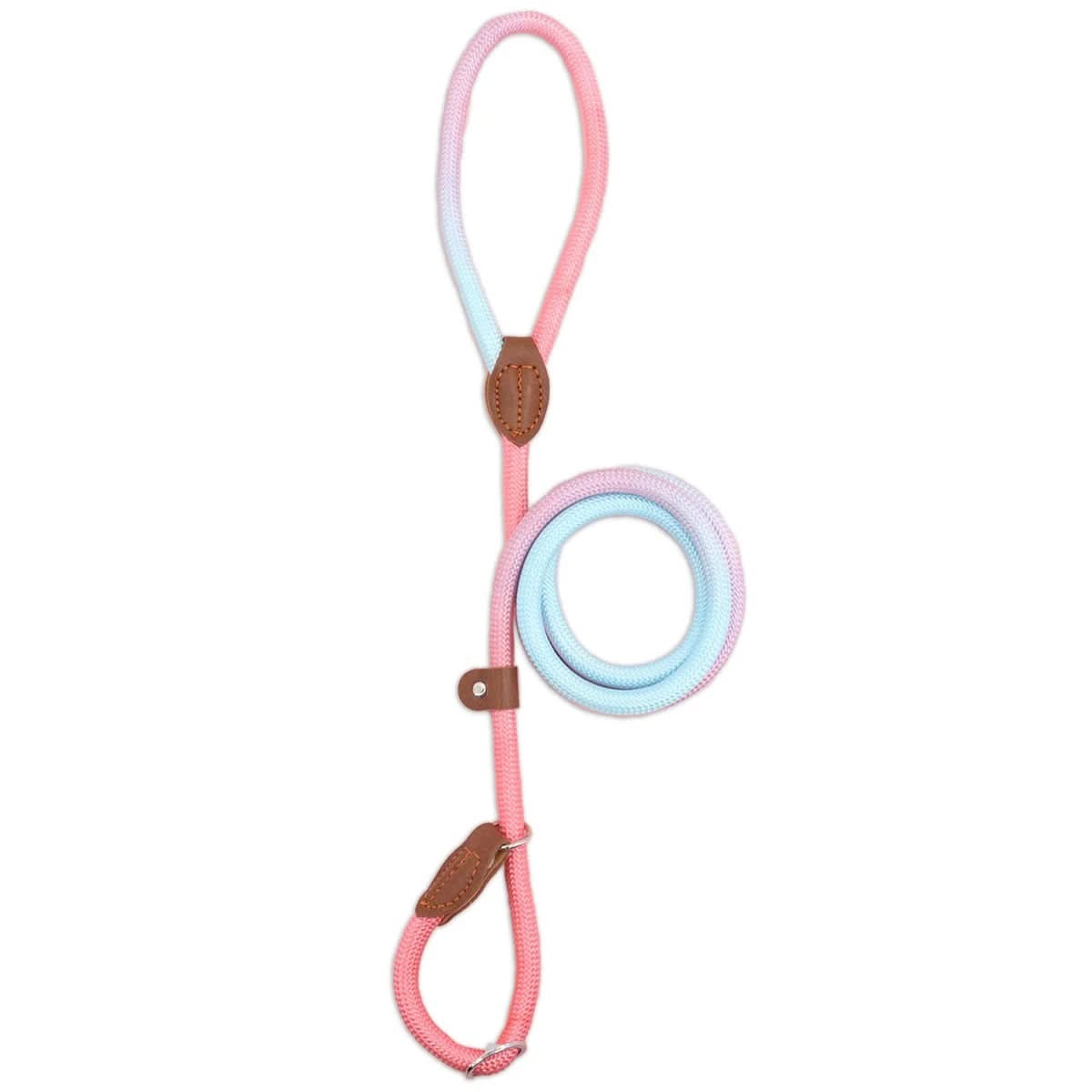 Colorful Dog Leash for Stylish Walks