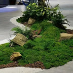 Moss Cover Piece – Moss Flakes Ornament for Decoration and Landscaping