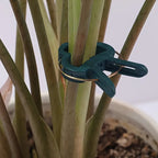 Garden clip set – plant loops for plant supports and garden care