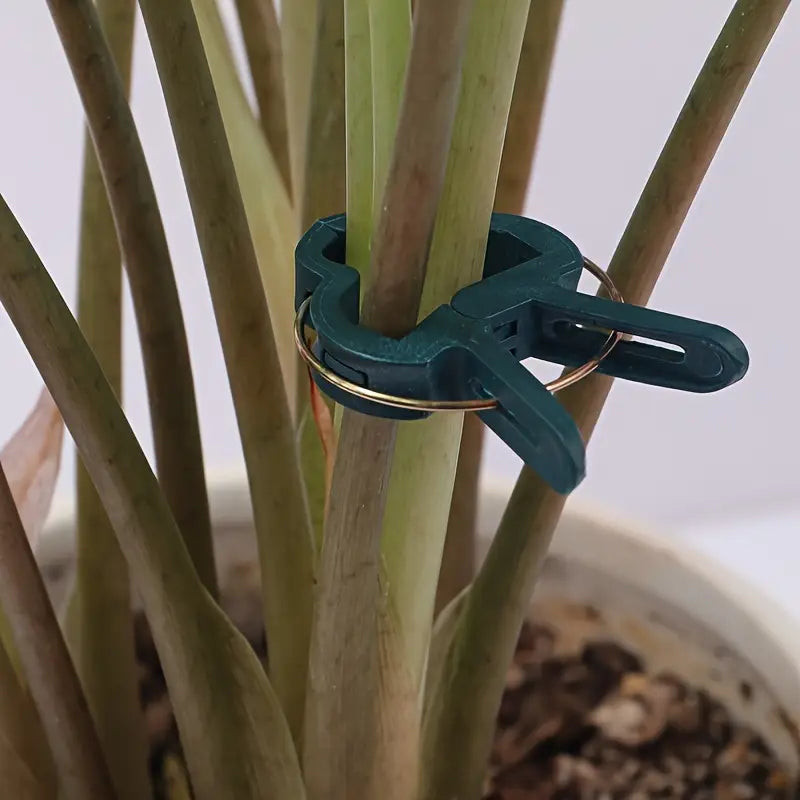 Garden clip set – plant loops for plant supports and garden care