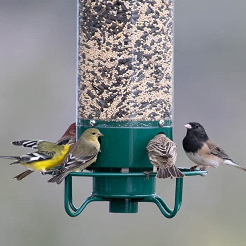 Squirrel-proof bird feeder