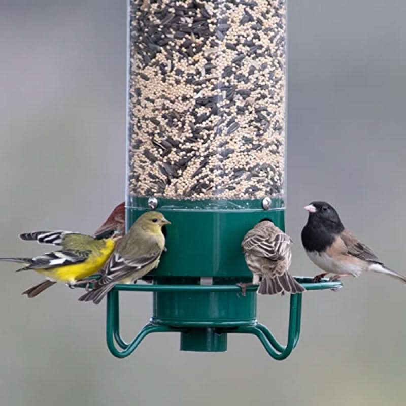 Squirrel-Proof Bird Feeder – 5lb Seed Tube with 4 Ports