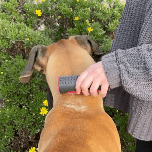 3 in 1 Deshedding Undercoat & Fur Brush