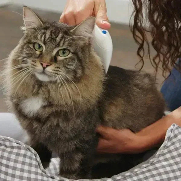 Electric Flea Remover for Pets - FleaZap