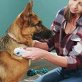 Electric Flea Remover for Pets - FleaZap