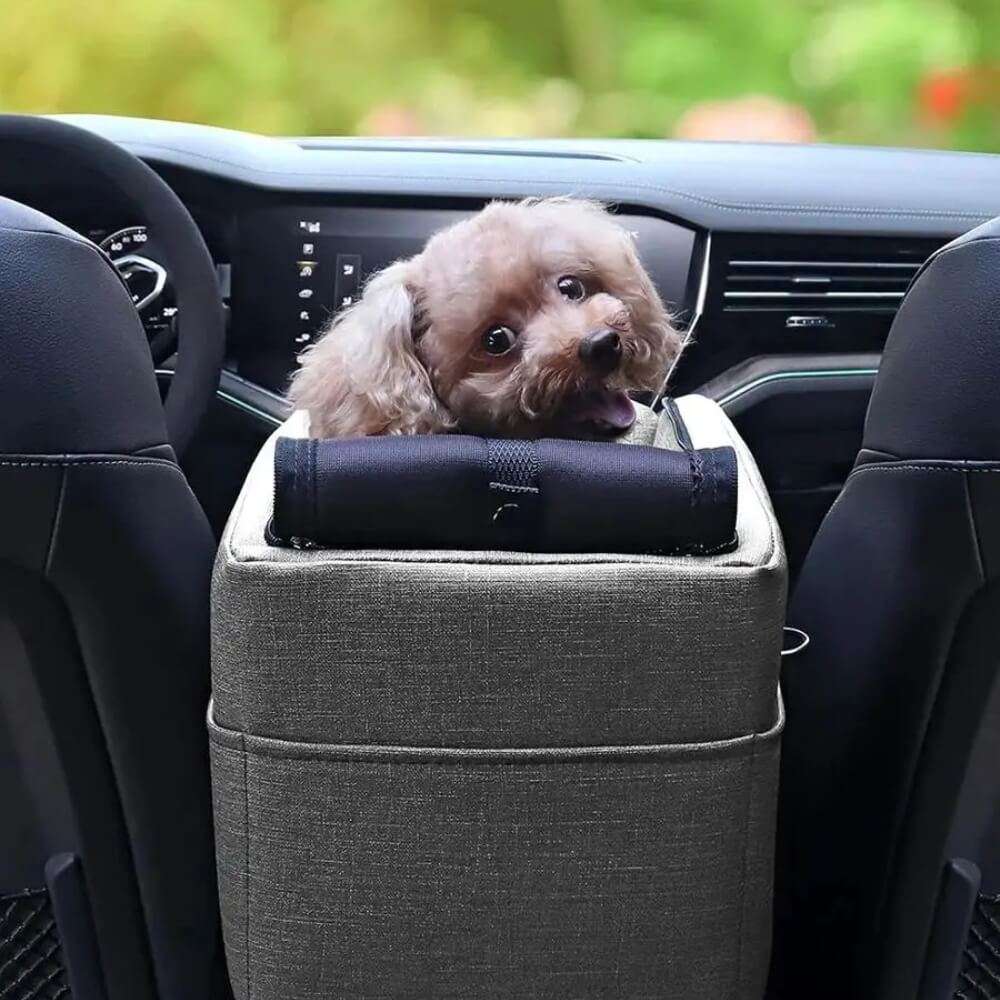 ElevatedPet - Dog & Cat Car Seat