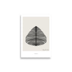 Growth 01