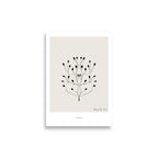 Growth 03