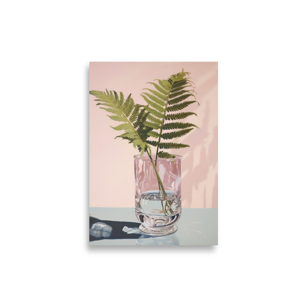 Mimosa Pudica