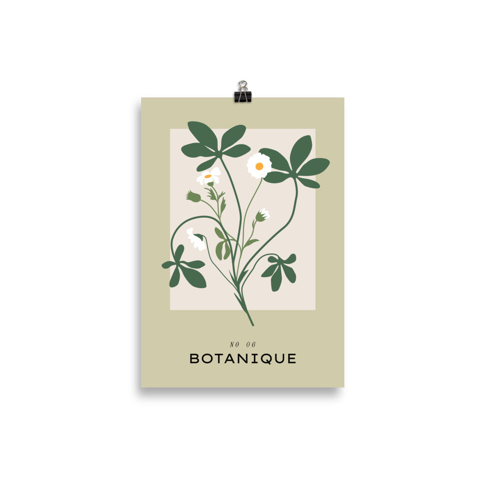 Botanique No. 6