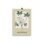 Botanique No. 6