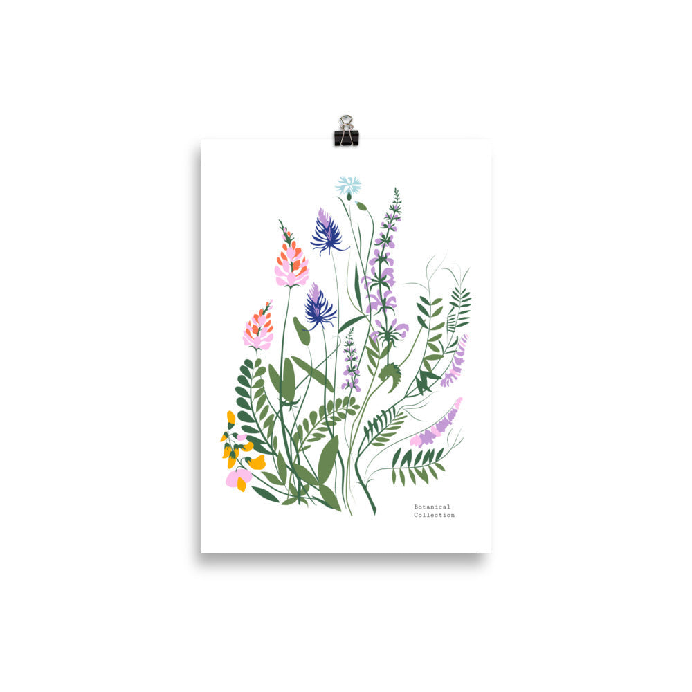 Mountain Flowers