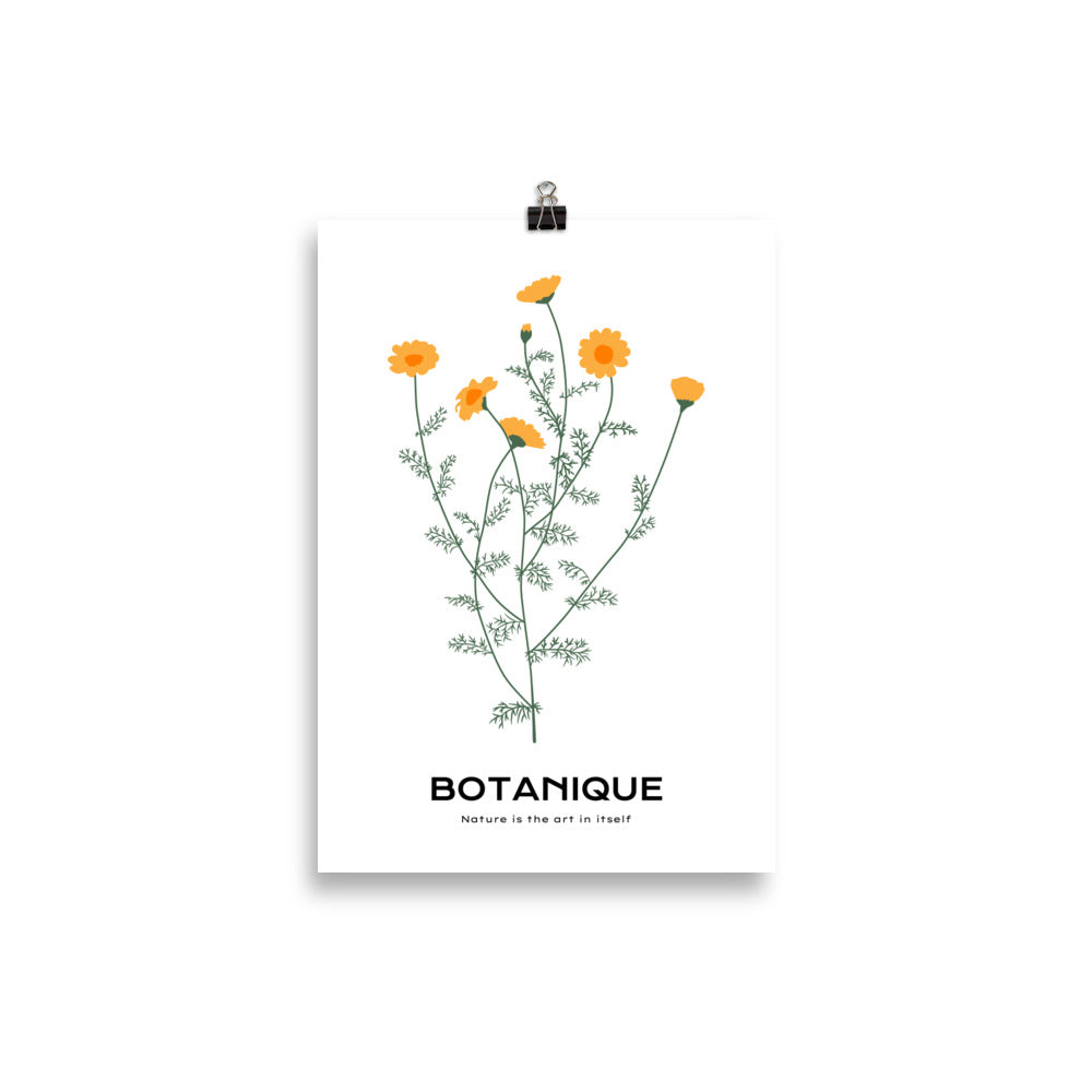 Dandelions