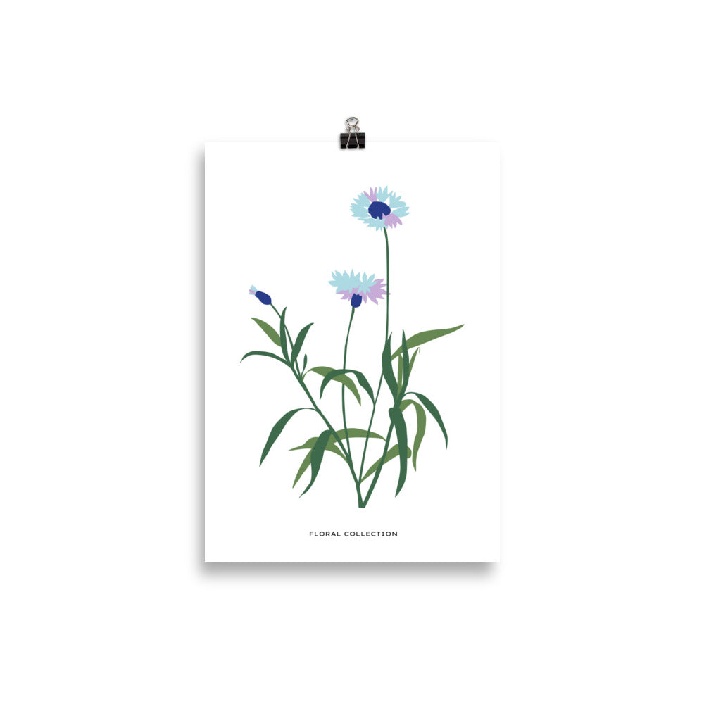 Floral Collection - Blue Flower