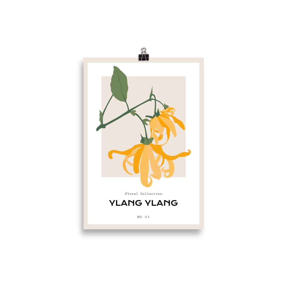 Ylang Ylang