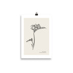 Minimalist Collection - Lavender