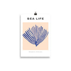 Sea Life No. 1
