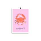 Ocean Life No. 17