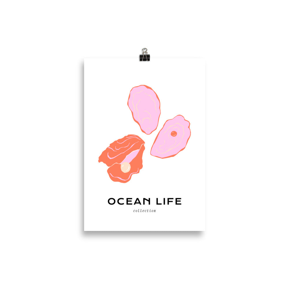 Ocean Life - Shell