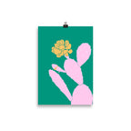 Cactus Flower