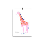 Nature Life - Giraffe